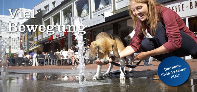 Das Bild zeigt den Flyer Elvis-Presley-Platz, copyright Stadt Friedberg (Hessen)