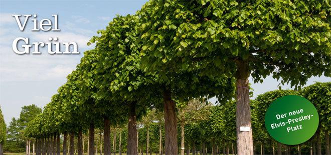 Das Bild zeigt den Flyer Elvis-Presley-Platz, copyright Stadt Friedberg (Hessen)