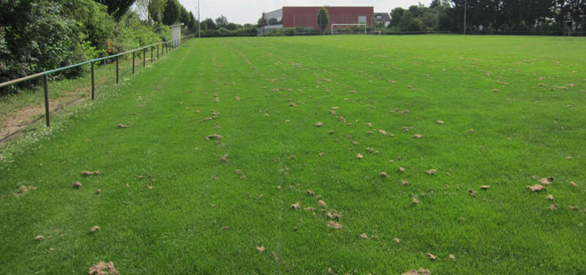 Das Bild zeigt den Sportplatz Ockstadt, copyright Stadt Friedberg (Hessen)