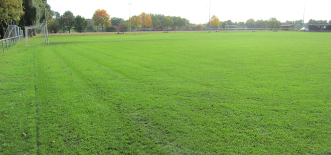 Das Bild zeigt die Sportpl&auml;tze in Ossenheim, copyright Stadt Friedberg (Hessen)