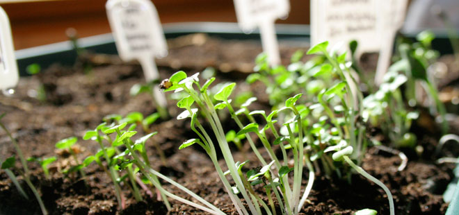 Das Bild zeigt die Kindertagesst&auml;tte Tintenklecks, copyright Stadt Friedberg (Hessen)