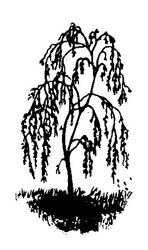 Das Bild zeigt das Logo Bestattungshaus Durchdewald, copyright Bestattungshaus Durchdewald 