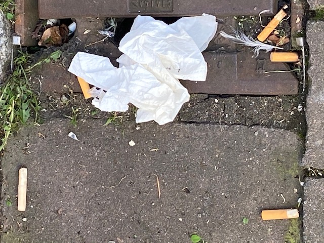 illegale M&uuml;llentsorgung